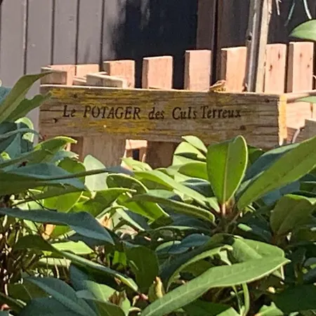 Alojamento de Acomodação e Pequeno-almoço Belharra House