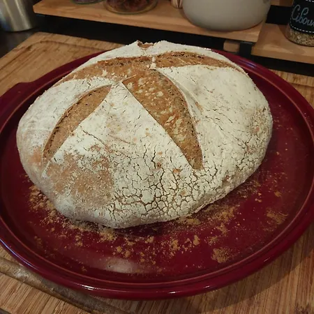 Belharra House Alojamento de Acomodação e Pequeno-almoço *