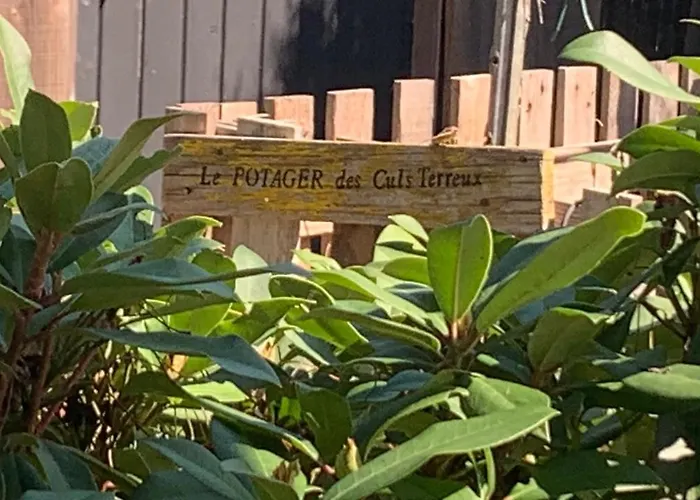 ベッド・アンド・ブレックファスト Belharra House